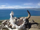 阿里A線：西藏阿里大北線“13日游”＜轉(zhuǎn)神山圣湖，穿越諸神景仰的圣地?。?></a></dt>
								<dd>
									<h3><a title=